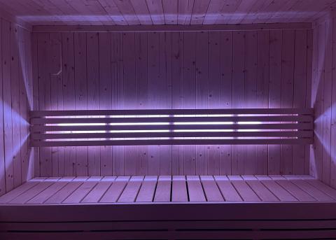 SaunaLife Mood Lighting for Model X6 Sauna